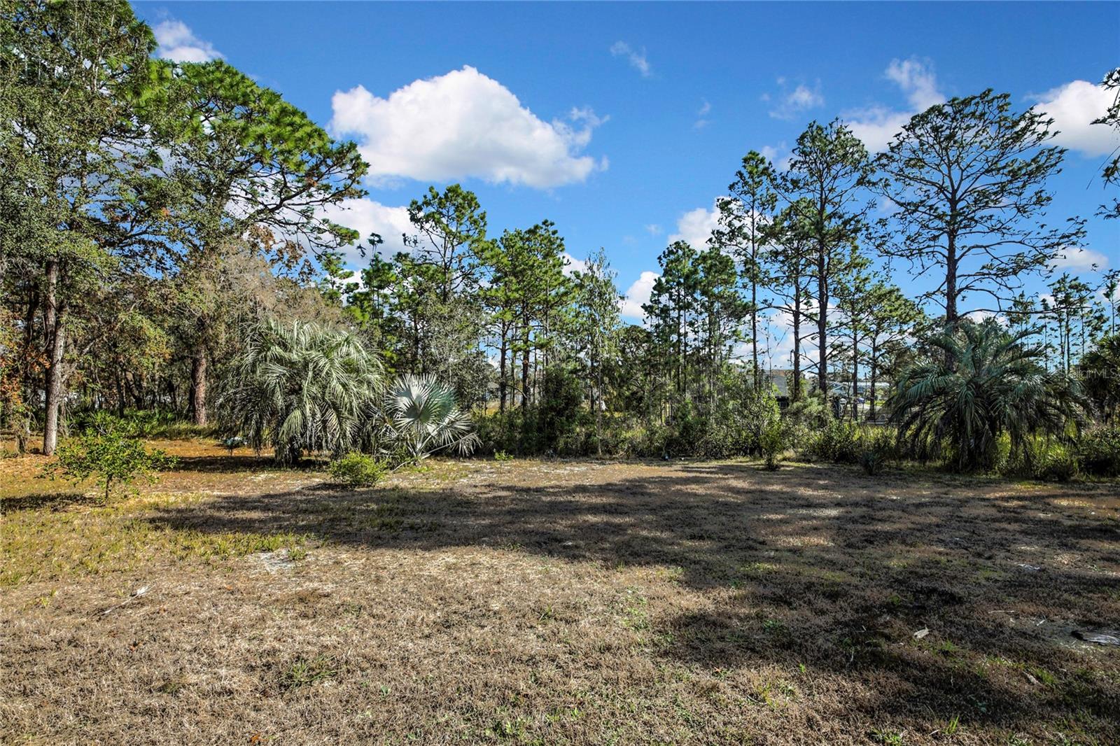 Image 46 of 67 For 11346 Labrador Duck Road