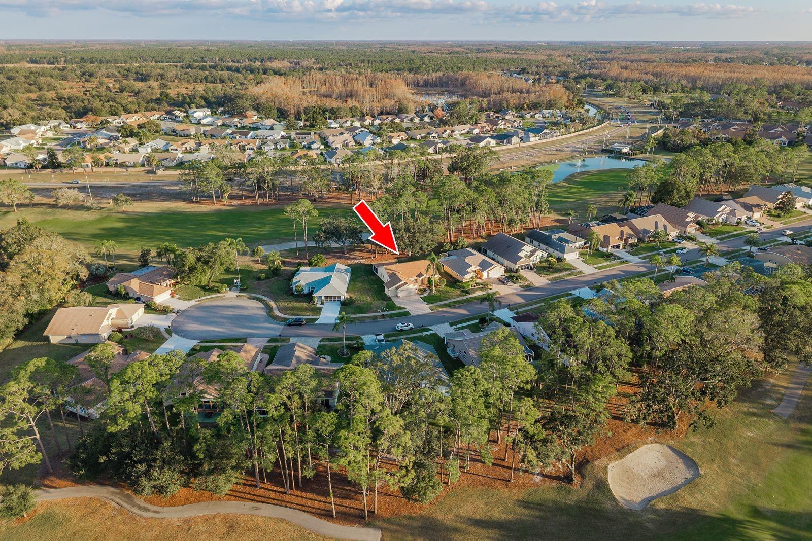 Image 42 of 62 For 9742 Oakwood Hills Court