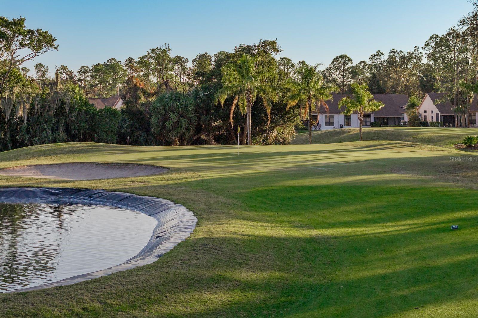 Image 52 of 62 For 9742 Oakwood Hills Court