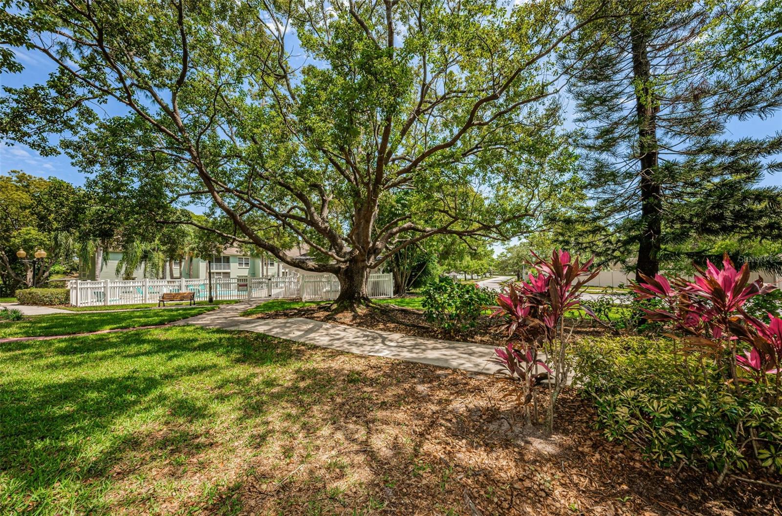 Image 40 of 45 For 240 Promenade Drive 102