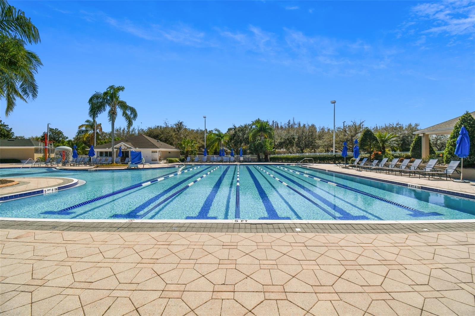 Image 42 of 59 For 18214 Paradise Point Drive