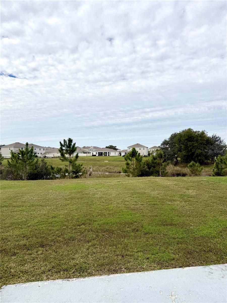 Image 6 of 20 For 10905 Penny Gale Loop