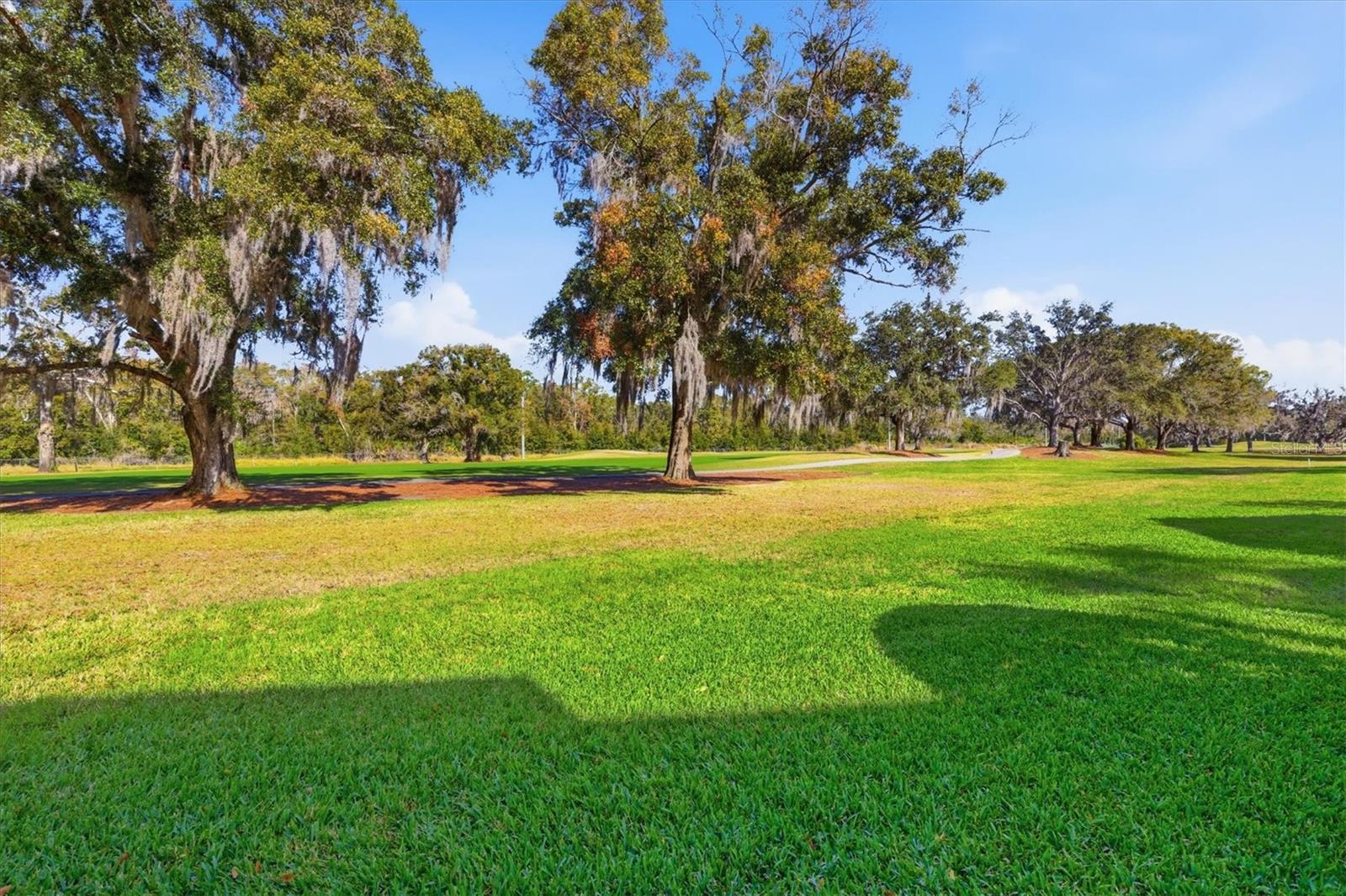 Image 32 of 57 For 1127 Royal Troon Court