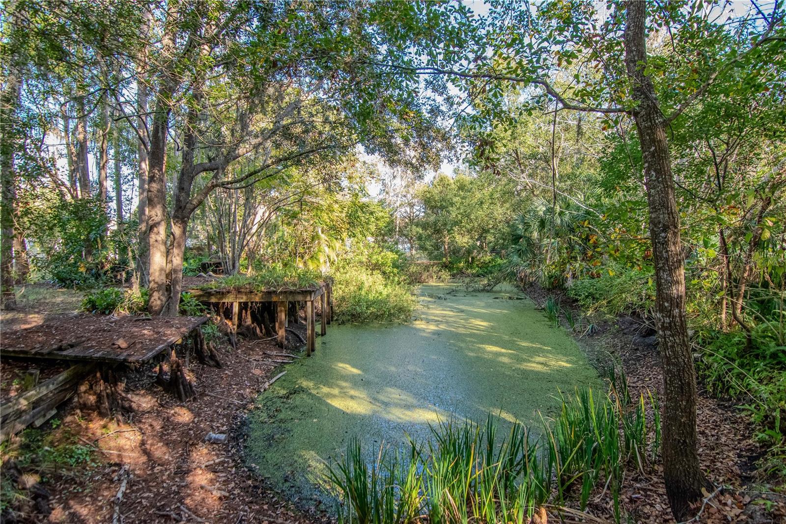 Image 41 of 48 For 7124 Cypress Knoll Drive