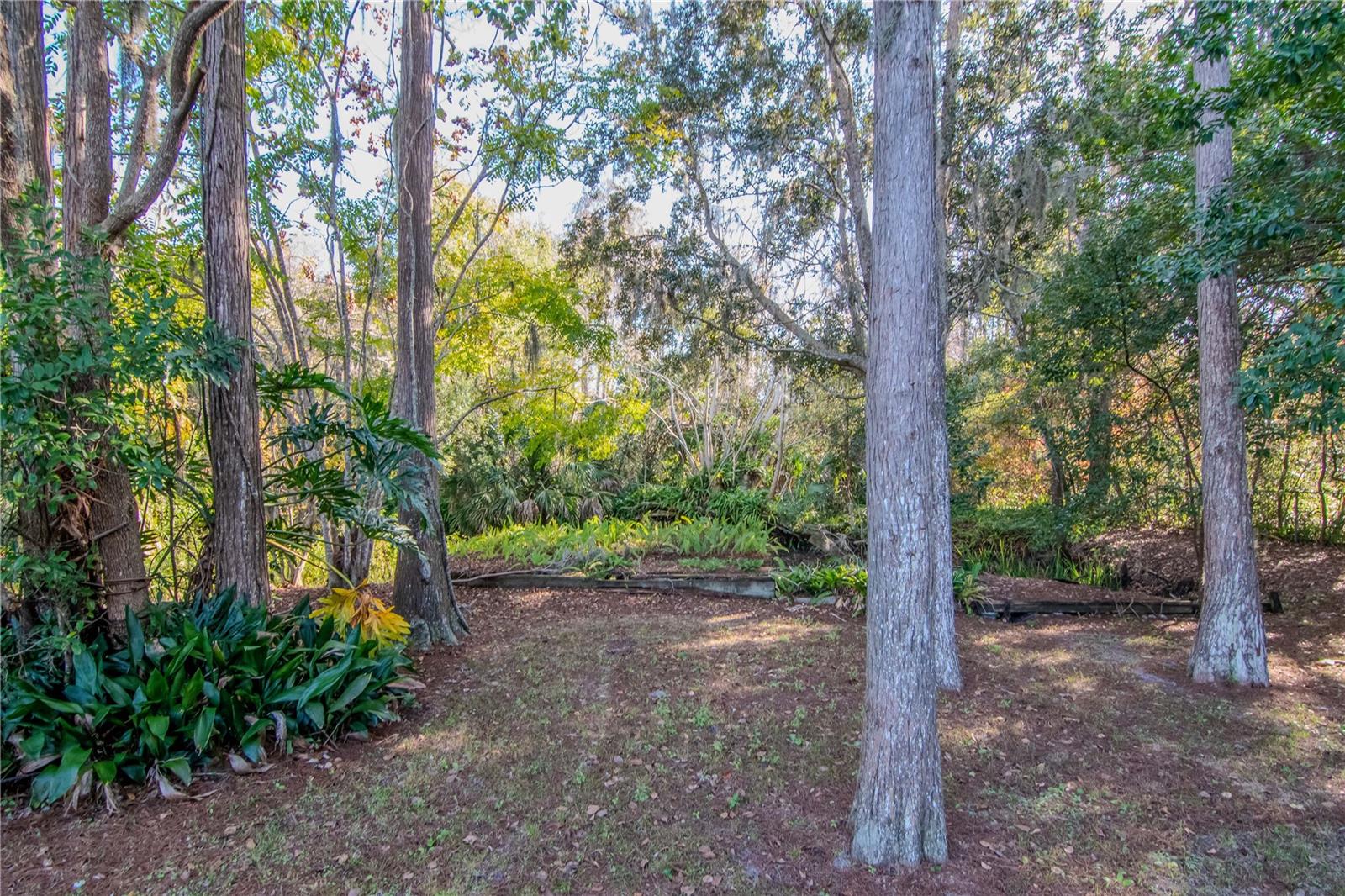 Image 44 of 48 For 7124 Cypress Knoll Drive