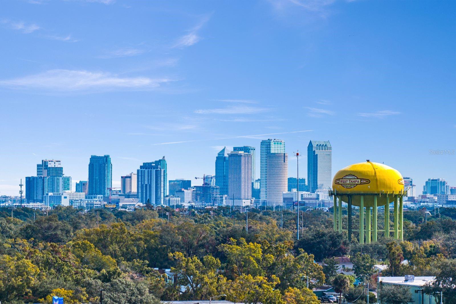 Listing photo id 25 for 2511 Grady Avenue 17