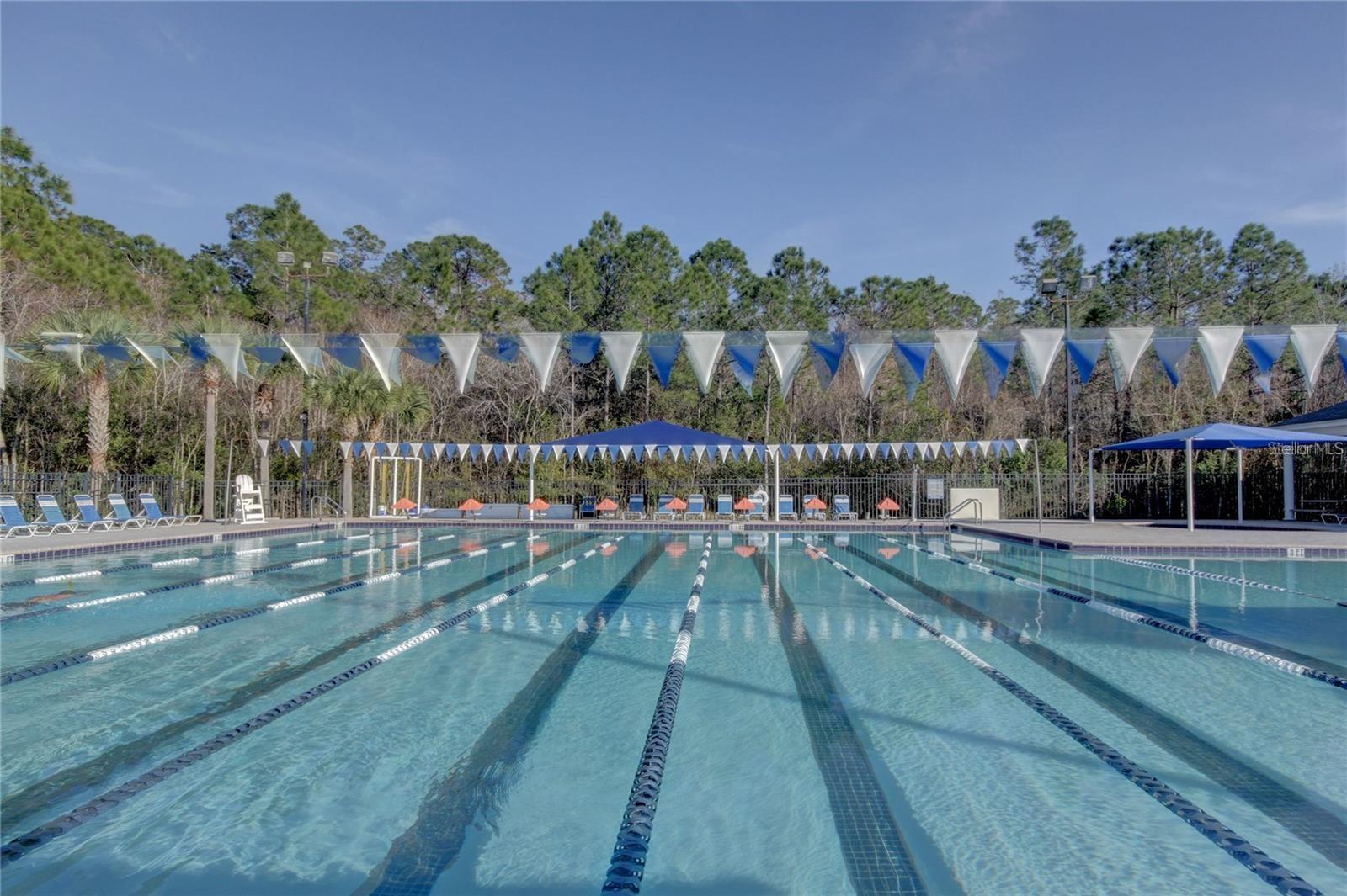 Listing photo id 39 for 11923 Derbyshire Drive