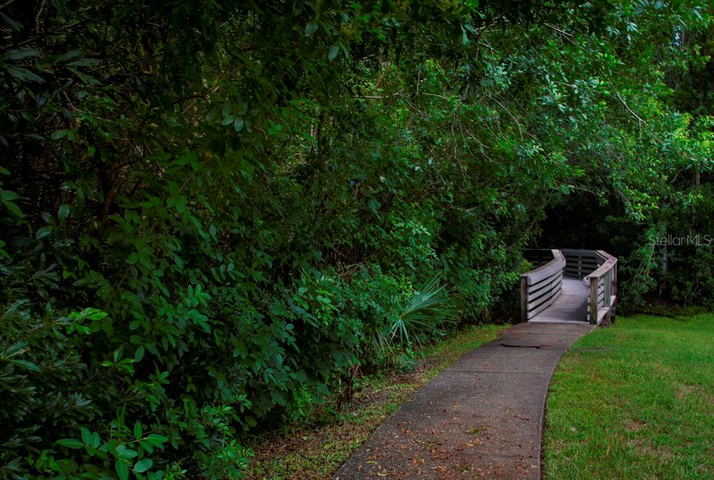 Listing photo id 47 for 11923 Derbyshire Drive