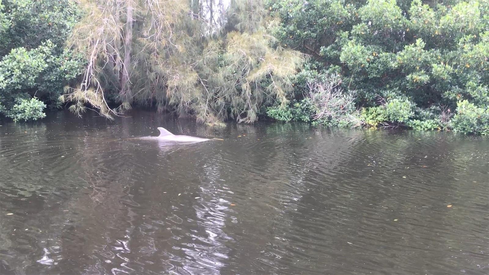 Image 65 of 68 For 201 79th Avenue Ne