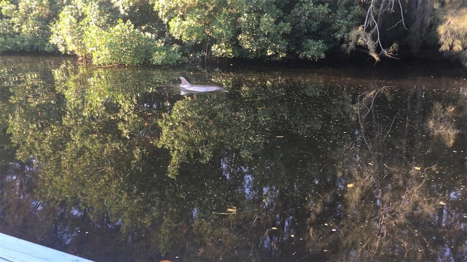 Image 66 of 68 For 201 79th Avenue Ne