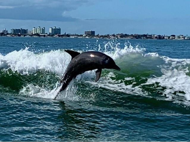 Image 55 of 58 For 5200 Brittany Dr. S  1510