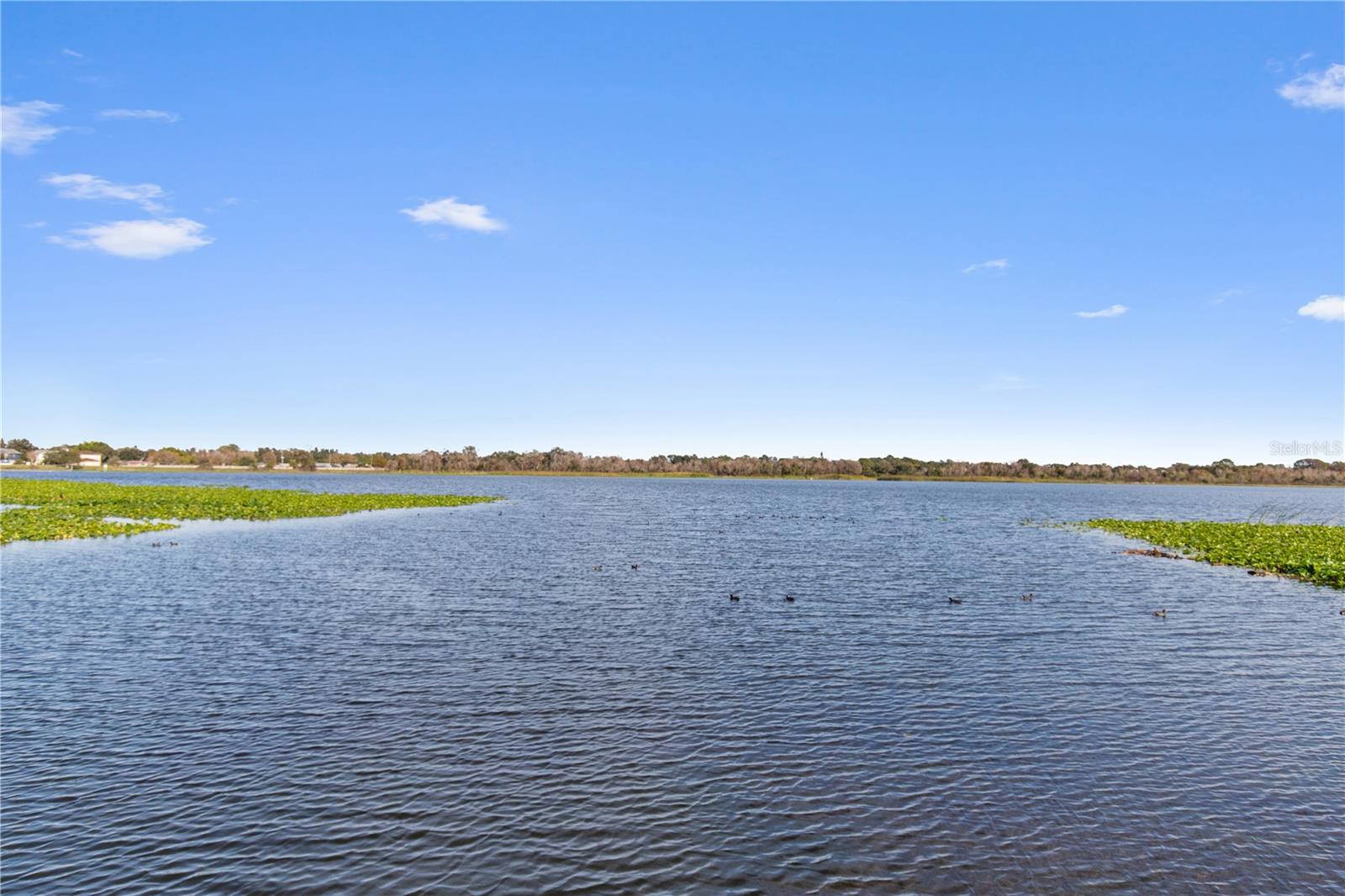 Image 18 of 38 For 10125 Sailwinds Boulevard N 102