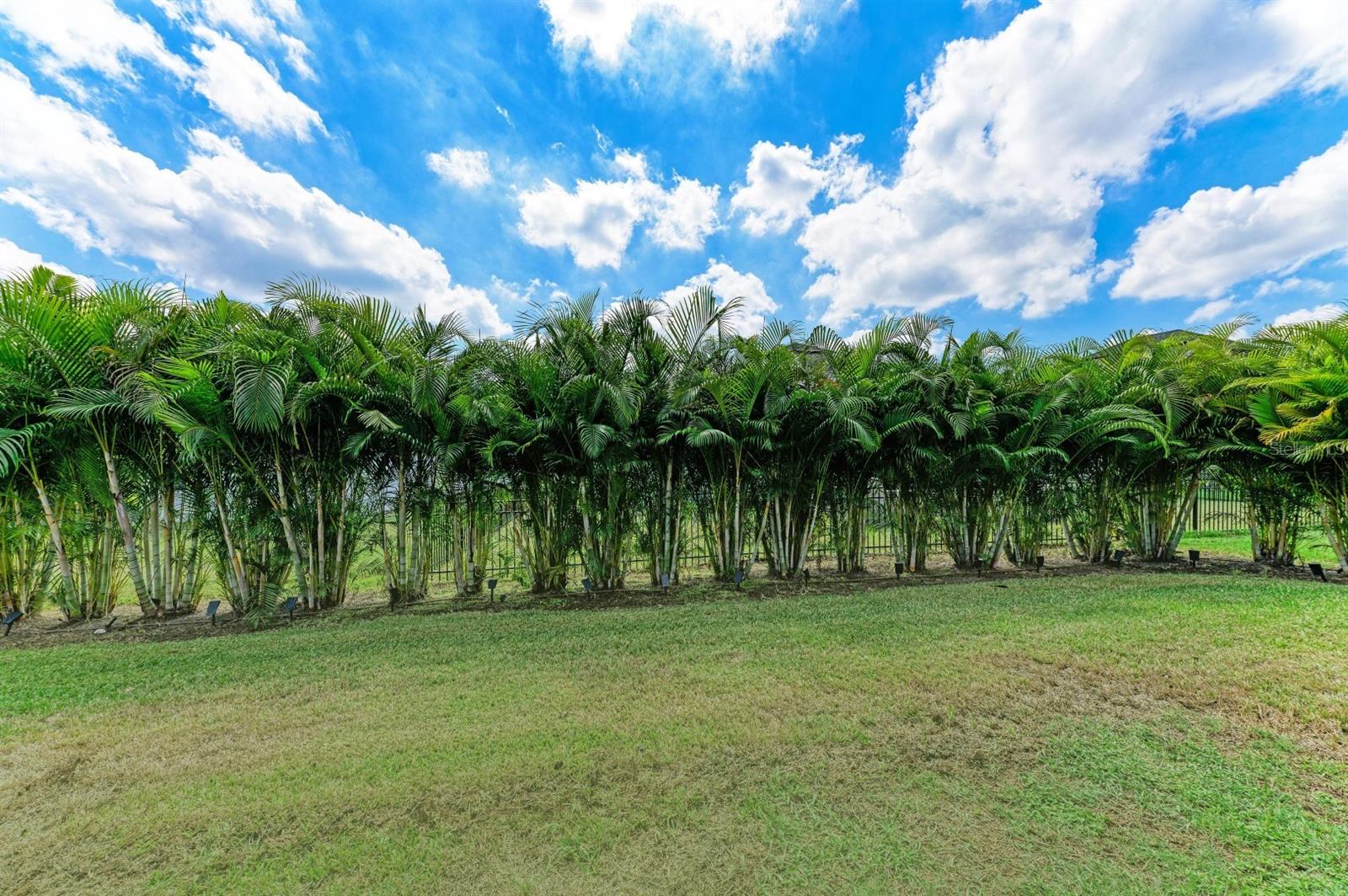 Image 51 of 86 For 12627 Wheatgrass Court