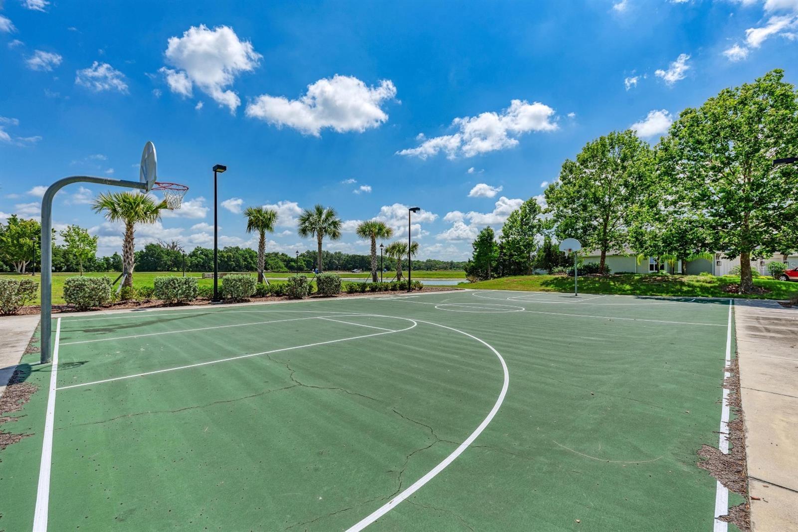 Image 86 of 86 For 12627 Wheatgrass Court