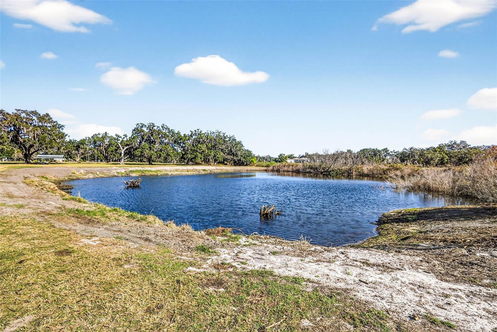 Image 68 of 84 For 6750 Sutton Oaks Lane