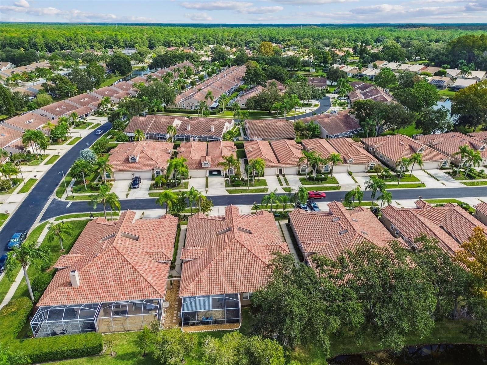 Image 48 of 55 For 3892 Timber Ridge Court