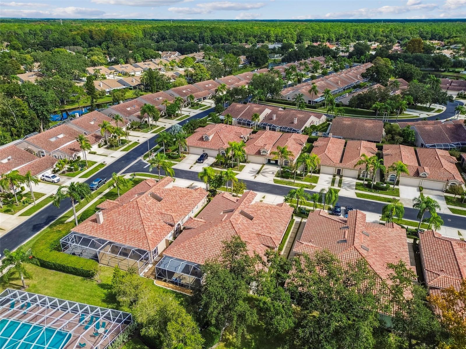 Image 49 of 55 For 3892 Timber Ridge Court