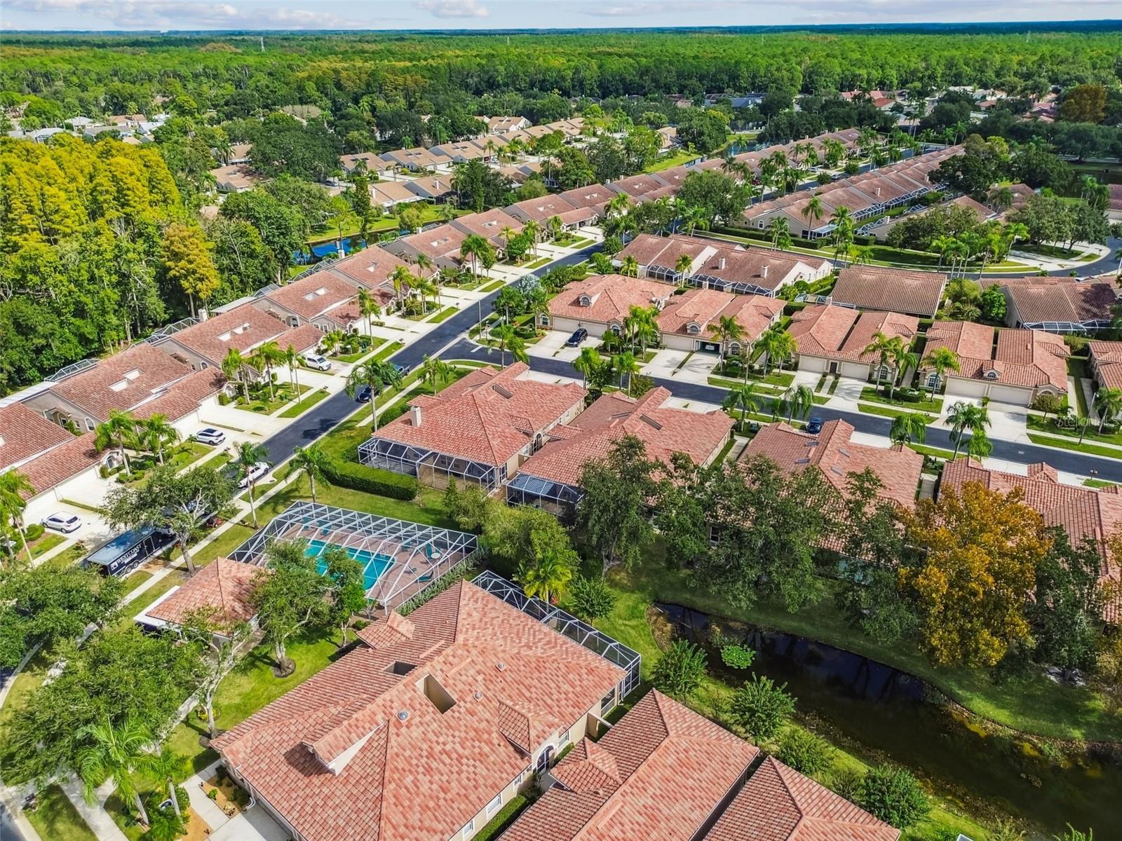 Image 50 of 55 For 3892 Timber Ridge Court