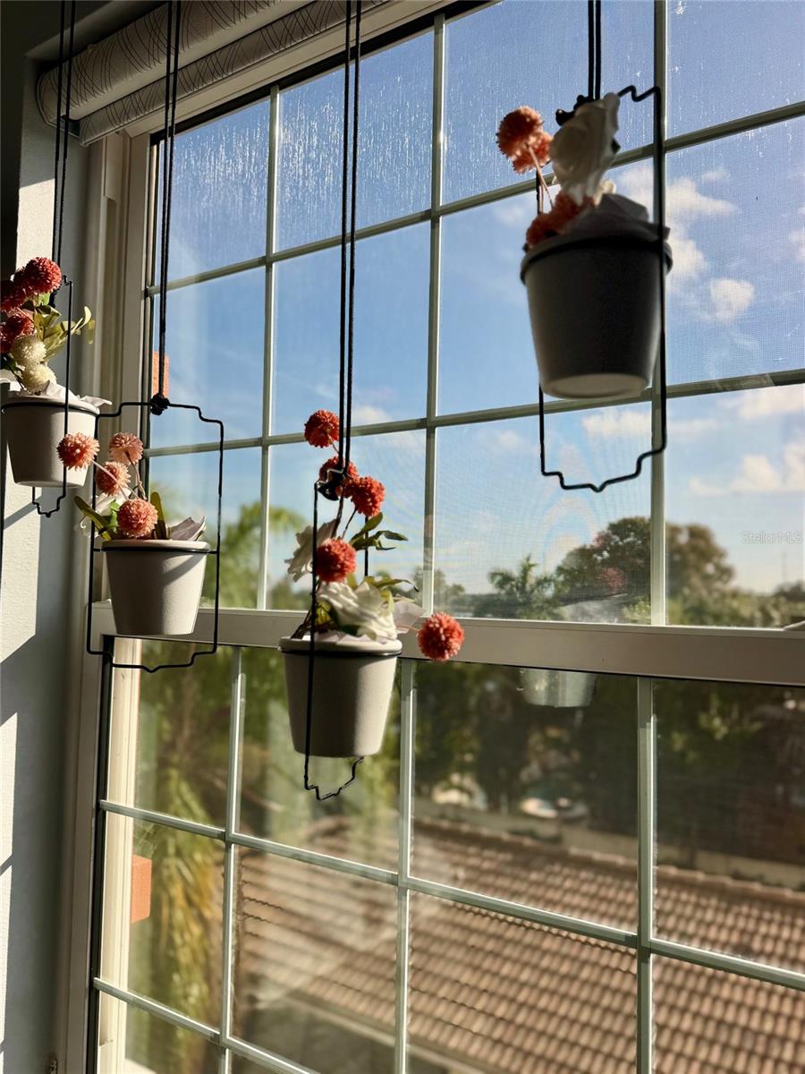 Image 21 of 66 For 7905 Seminole Boulevard 3301