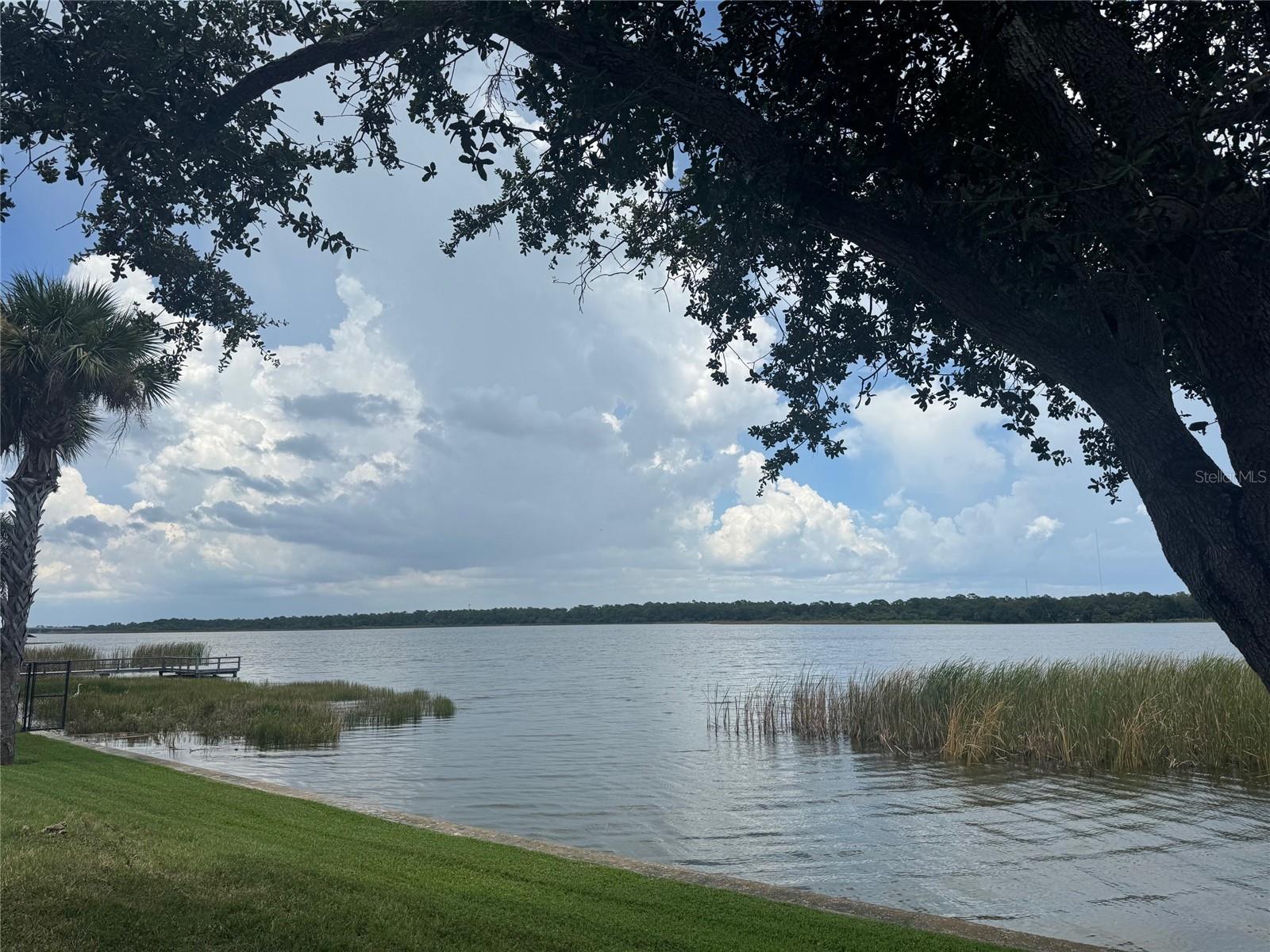 Image 44 of 66 For 7905 Seminole Boulevard 3301