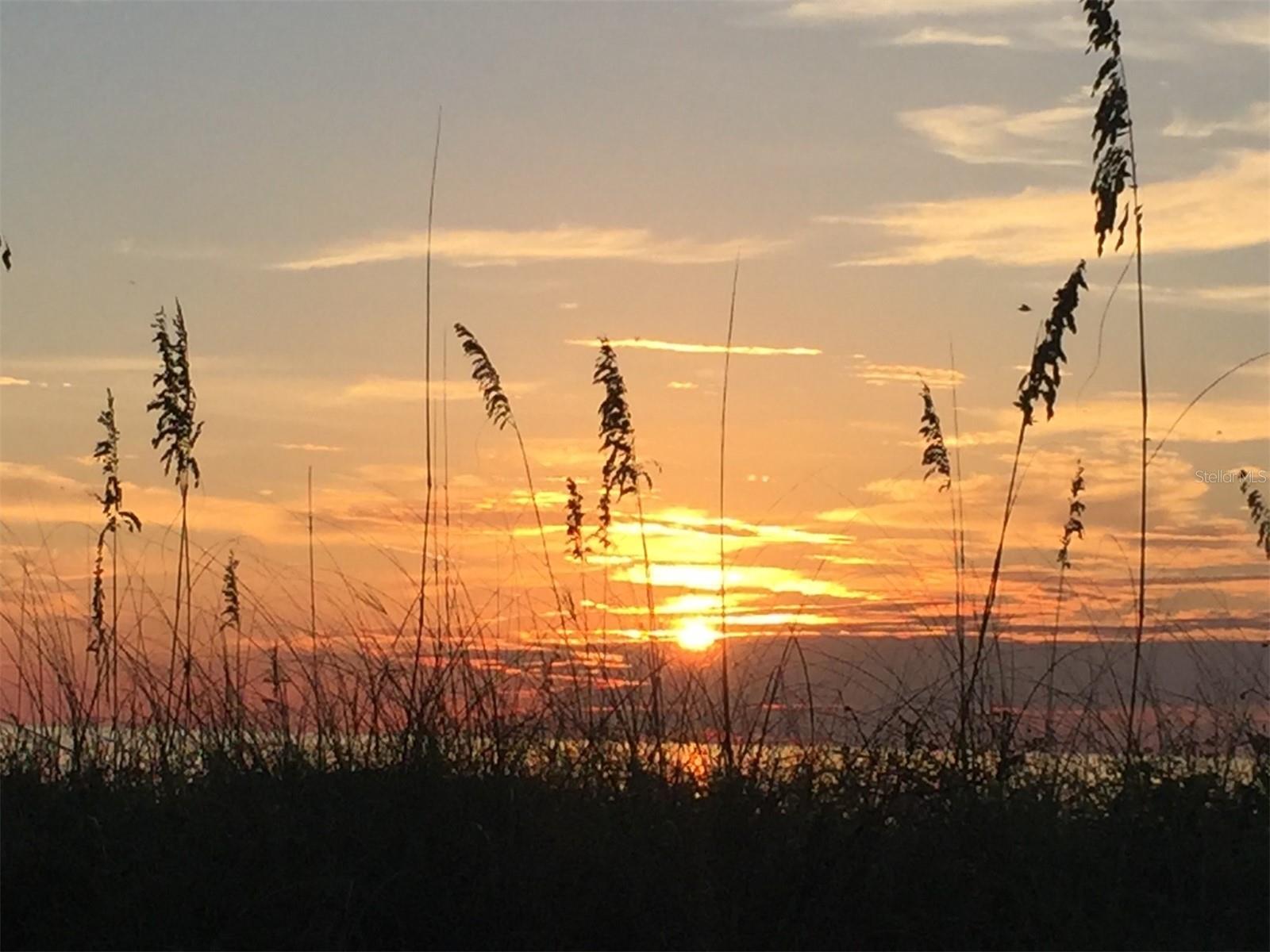 Image 66 of 66 For 7905 Seminole Boulevard 3301