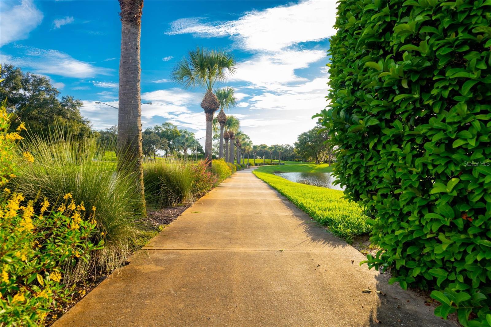 Image 52 of 76 For 9313 Gentle Ben Court