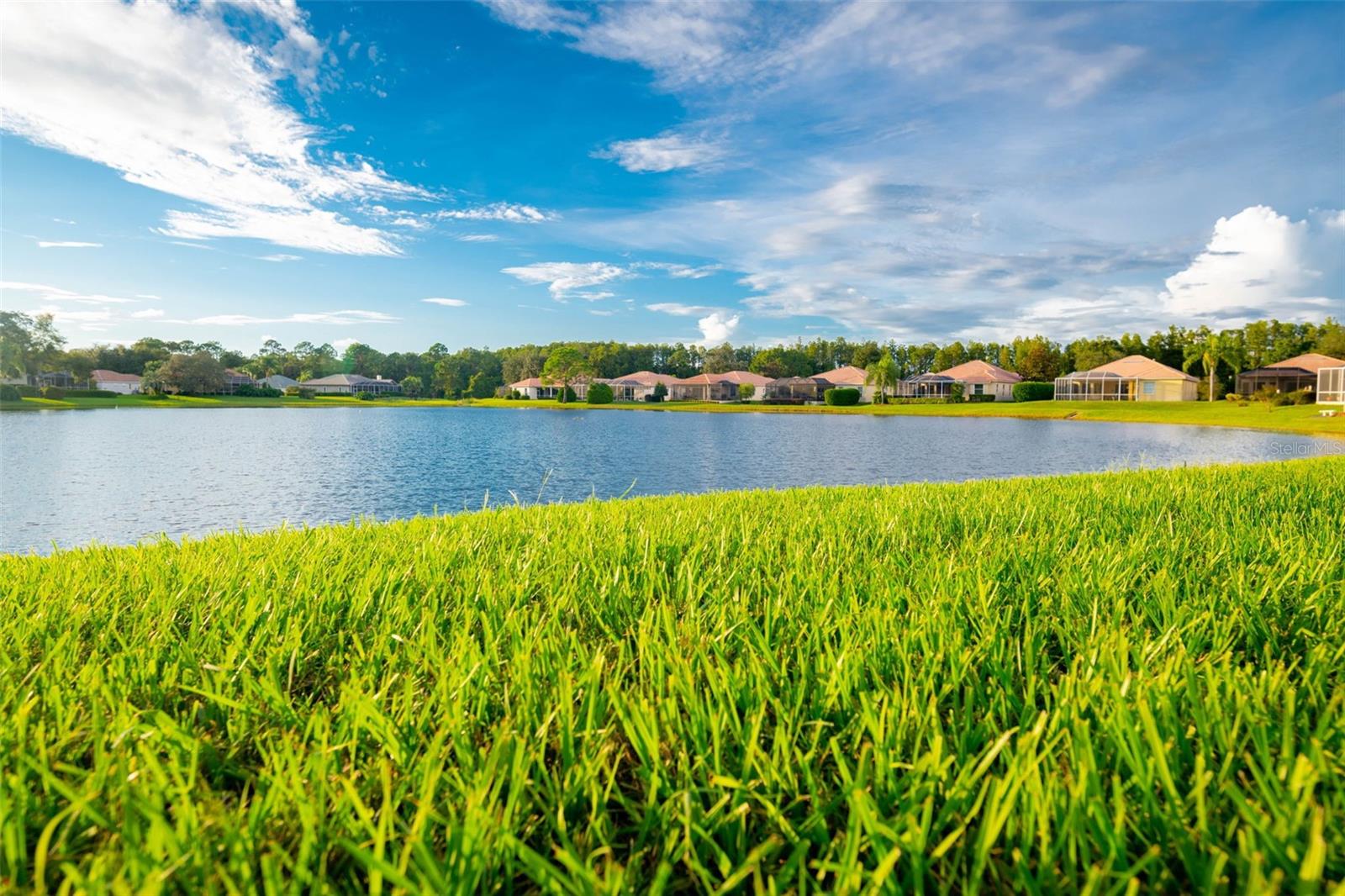 Image 53 of 76 For 9313 Gentle Ben Court