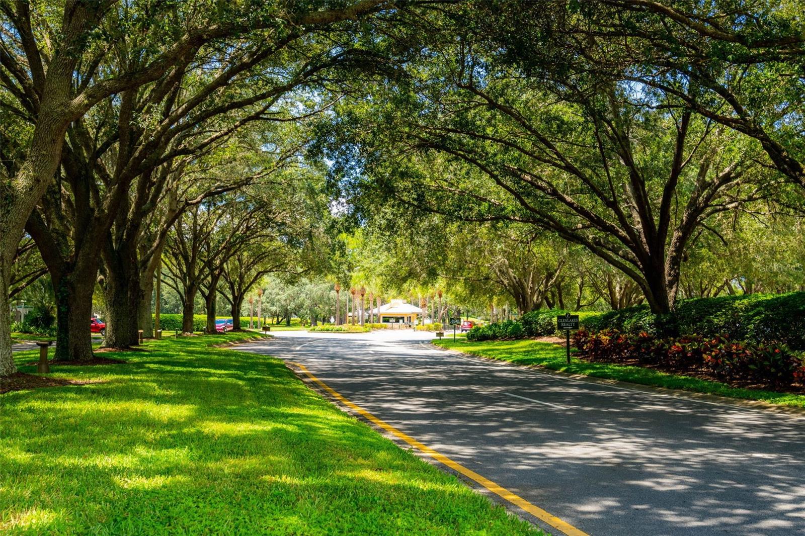 Image 58 of 76 For 9313 Gentle Ben Court