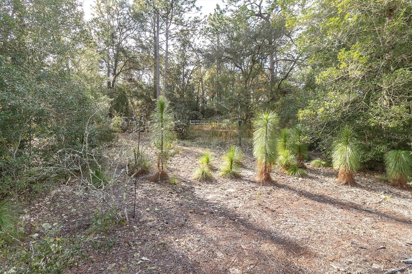 Image 39 of 47 For 2494 Axelwood Drive