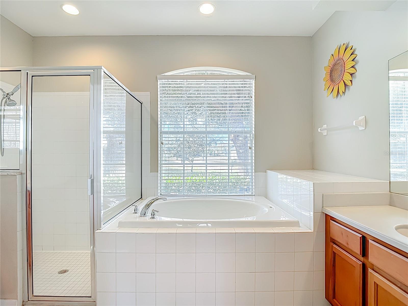 Image 40 of 83 For 8942 Sandusky Lane