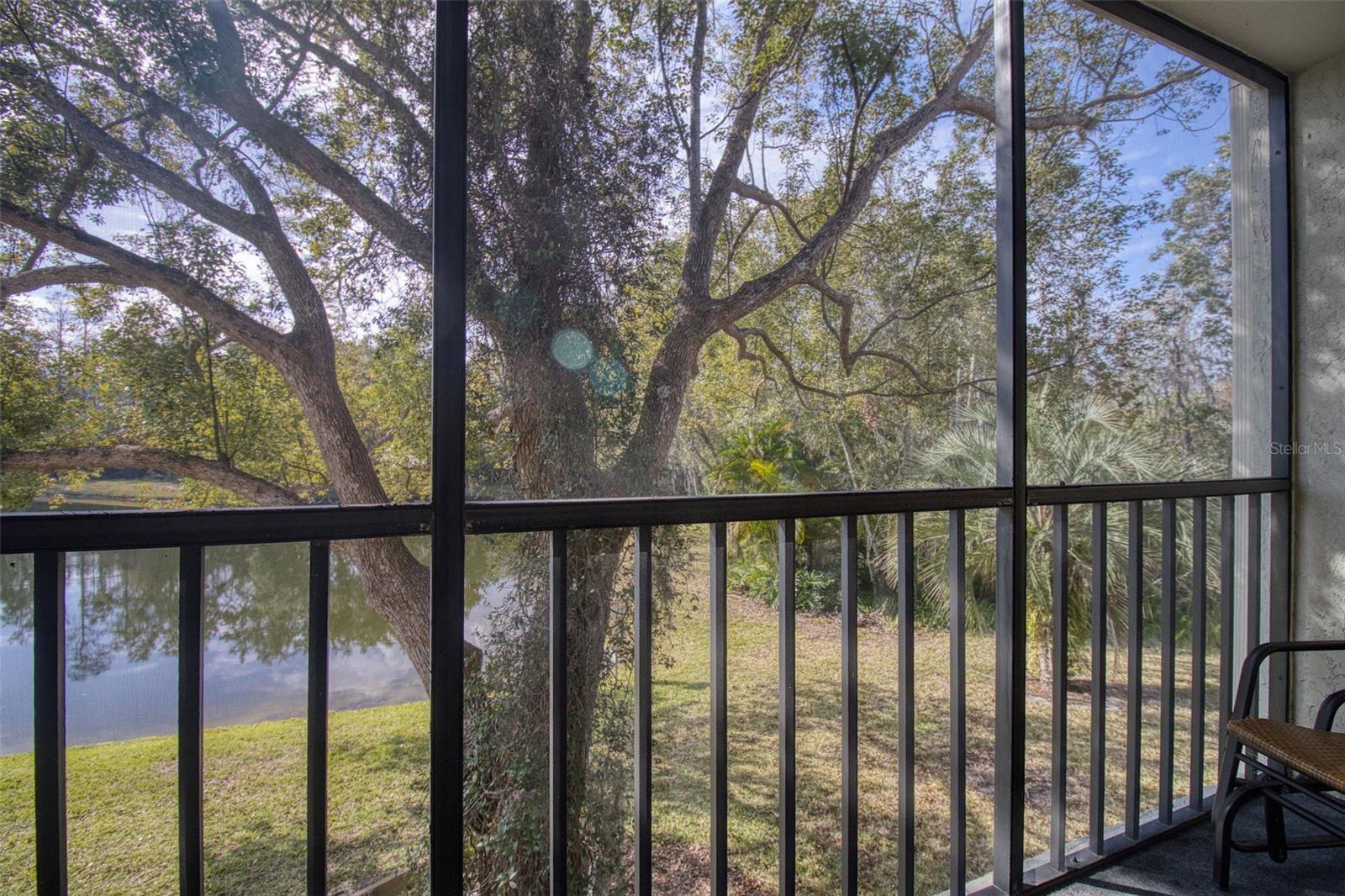 Image 21 of 30 For 3134 Lake Pine Way G2