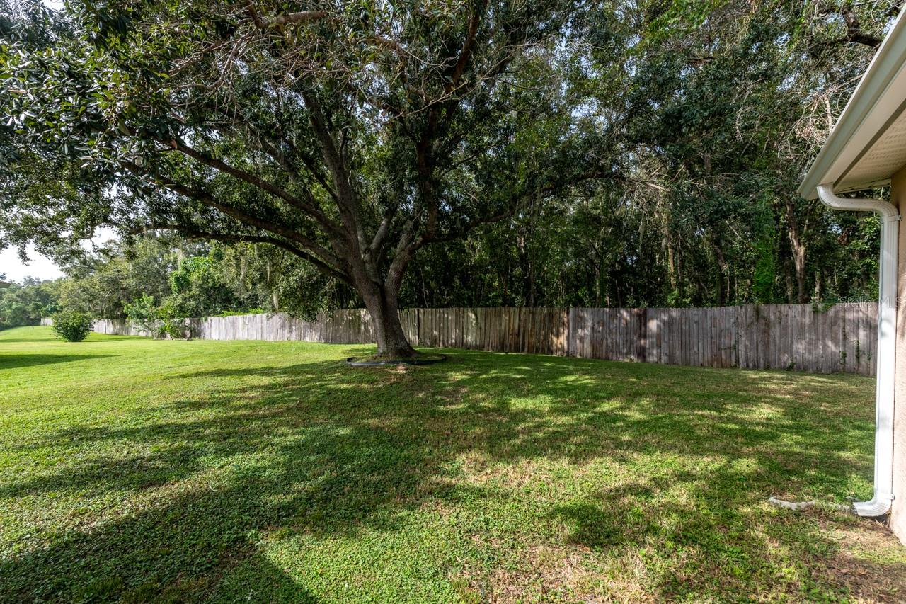 Image 29 of 31 For 3327 Michener Place