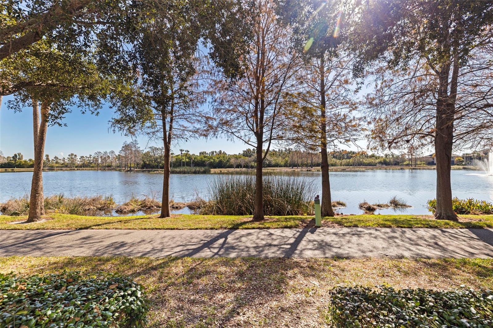 Image 45 of 67 For 260 Newbury Place N