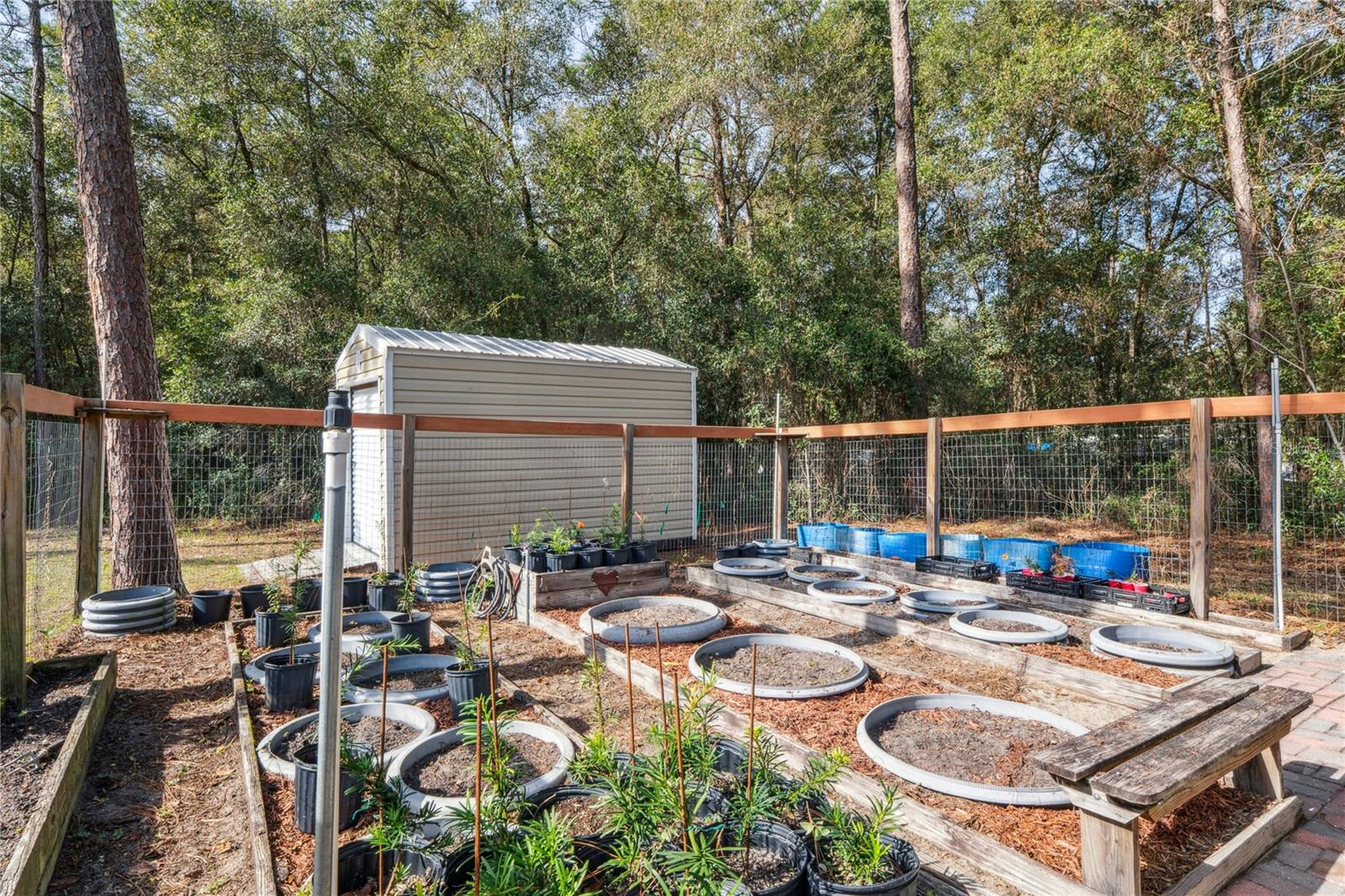 Image 63 of 74 For 7049 Poppas Pass