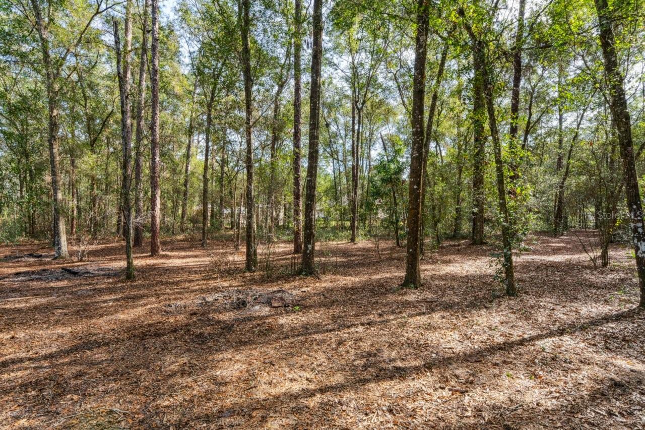 Image 69 of 74 For 7049 Poppas Pass