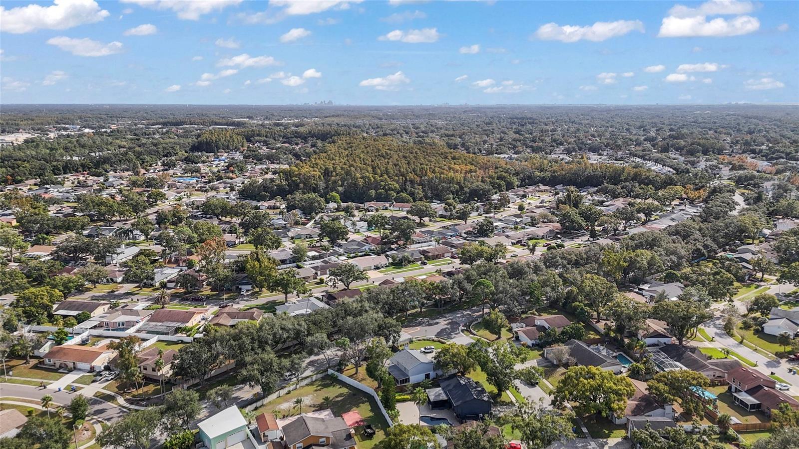 Image 11 of 62 For 16303 Calidonia Lane