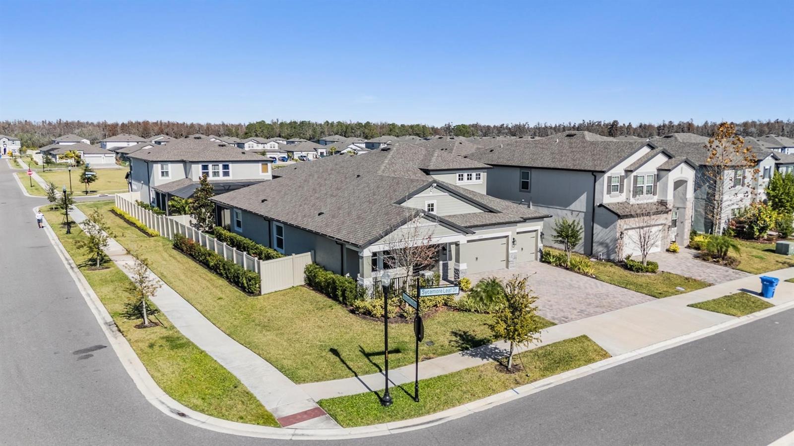 Image 37 of 45 For 33091 Sycamore Leaf Drive