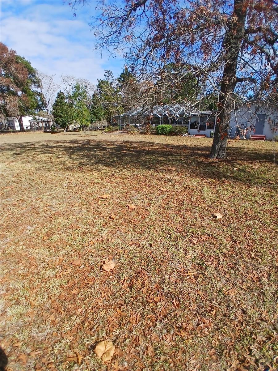 Image 4 of 7 For  Gene Street 