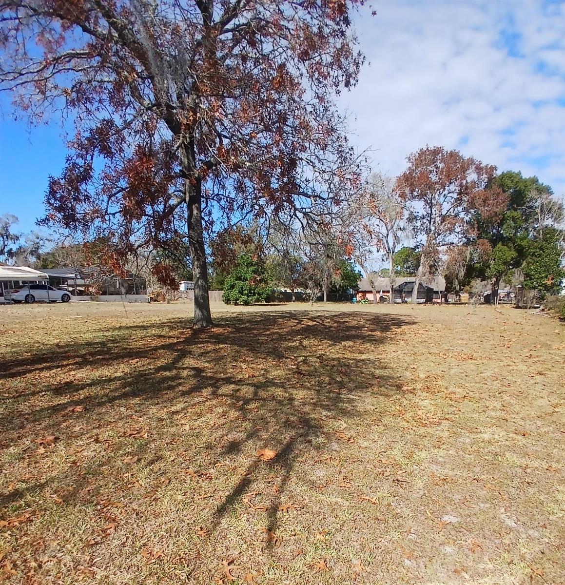 Image 6 of 7 For  Gene Street 