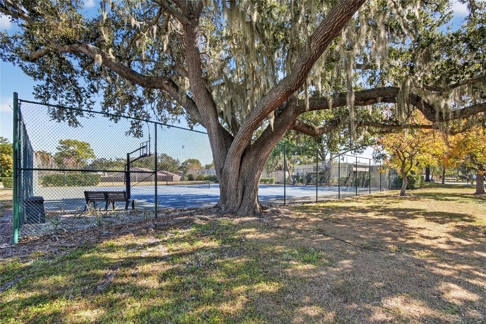 Image 45 of 49 For 614 Sandalwood Drive