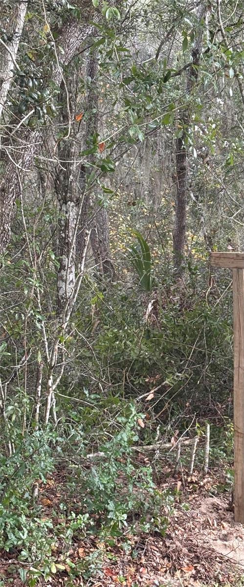 Listing Details for 5670 West Street, DE LEON SPRINGS, FL 32130