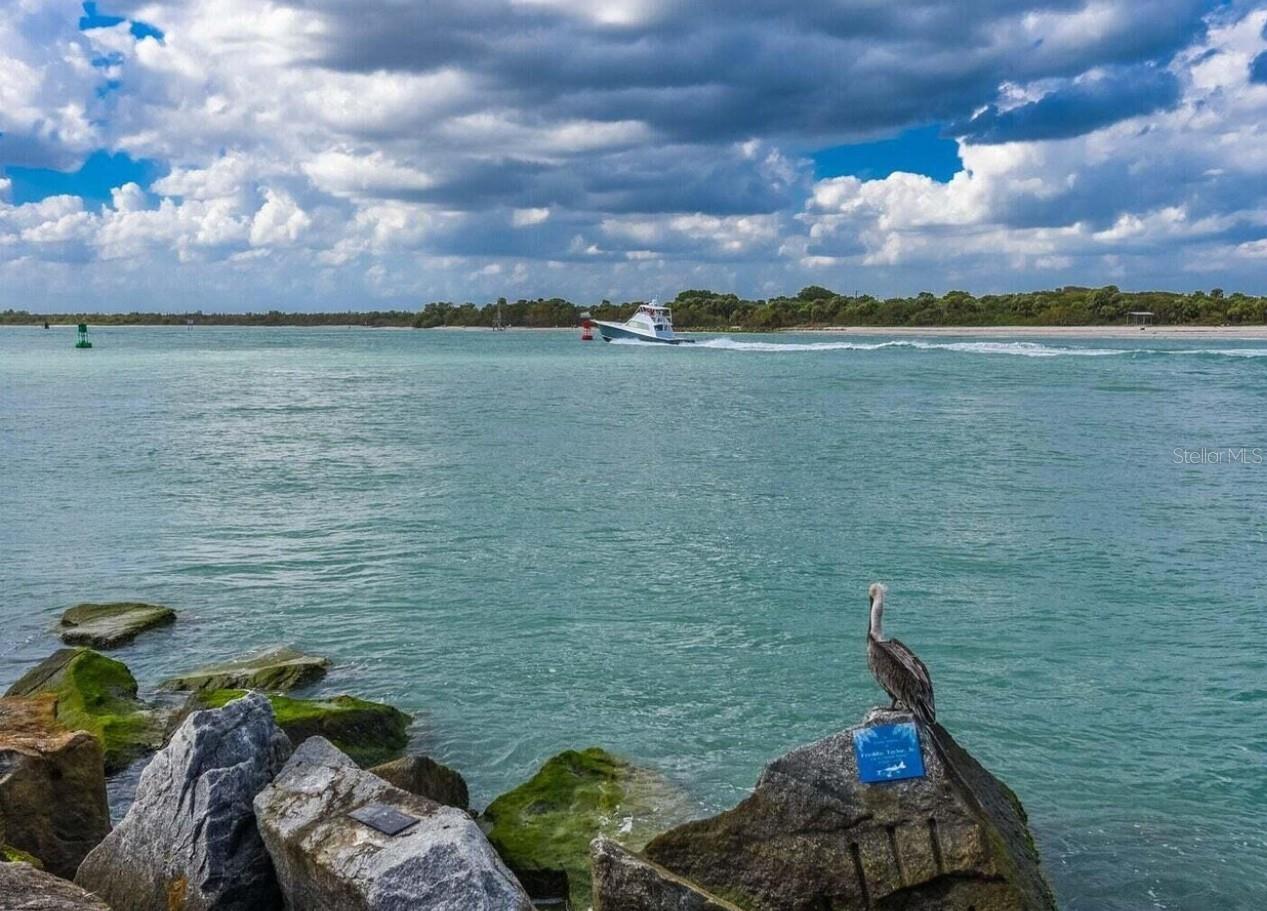 Image 12 of 34 For 1531 Royal Green Circle 107