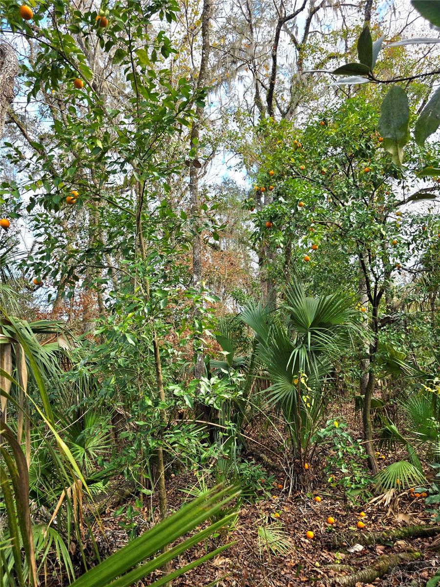 Listing photo id 42 for 13444 Republican Way