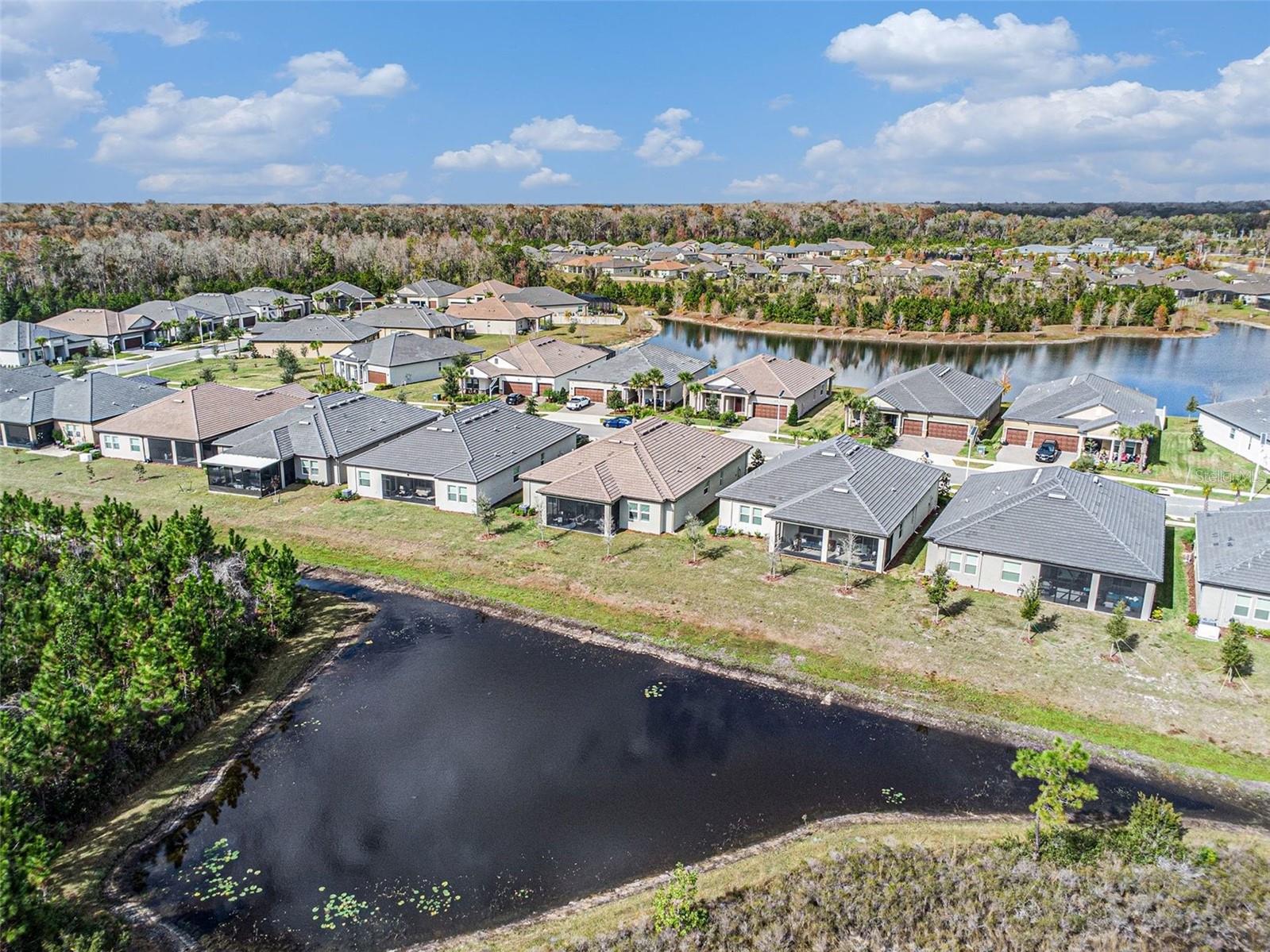 Image 38 of 55 For 17100 Forge Surf Street