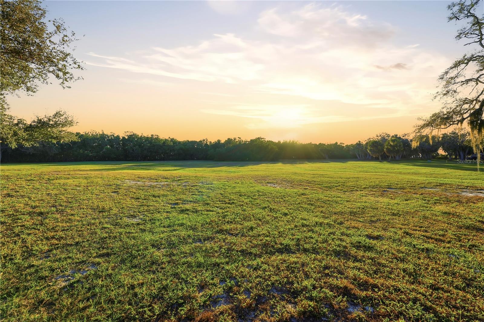 Listing photo id 29 for 7331 Demens Drive S