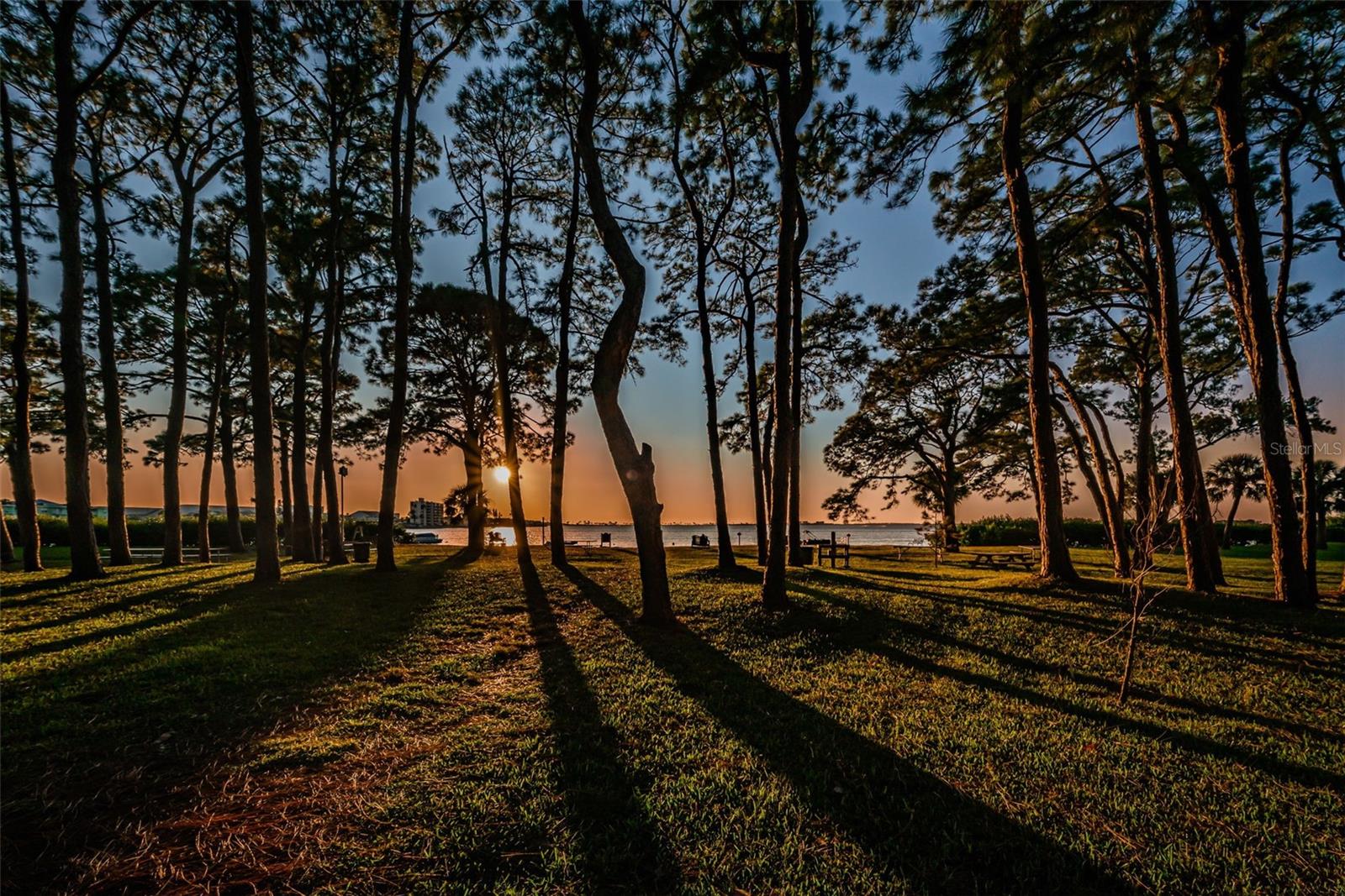 Image 62 of 70 For 2700 Bayshore Boulevard 11-209