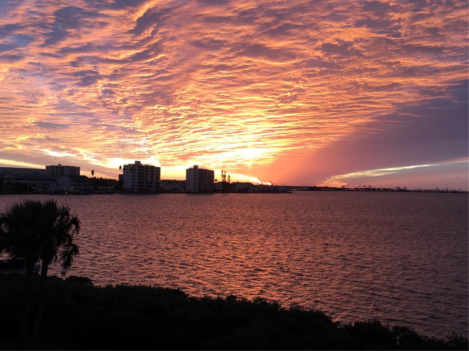 Image 7 of 70 For 2700 Bayshore Boulevard 11-209