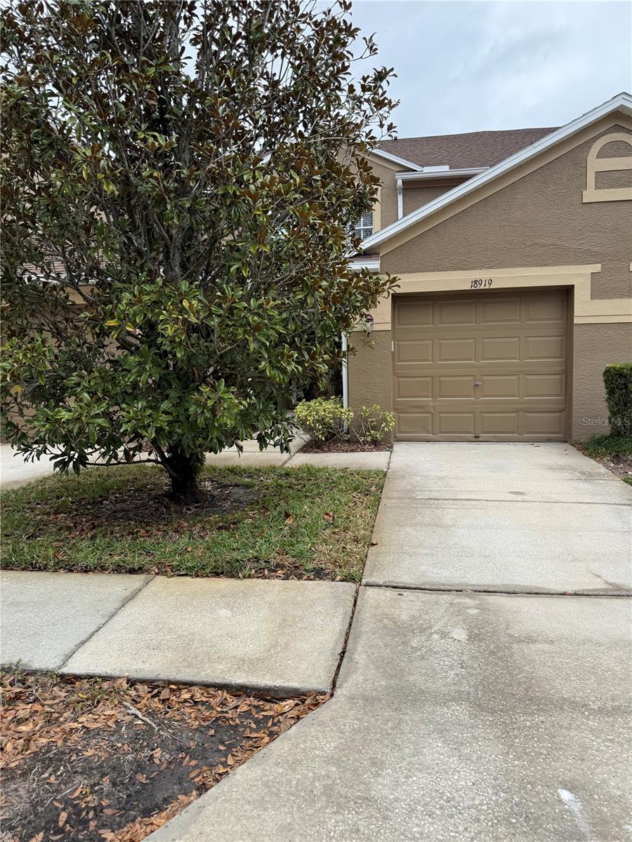 Details for 18919 Duquesne Drive, TAMPA, FL 33647