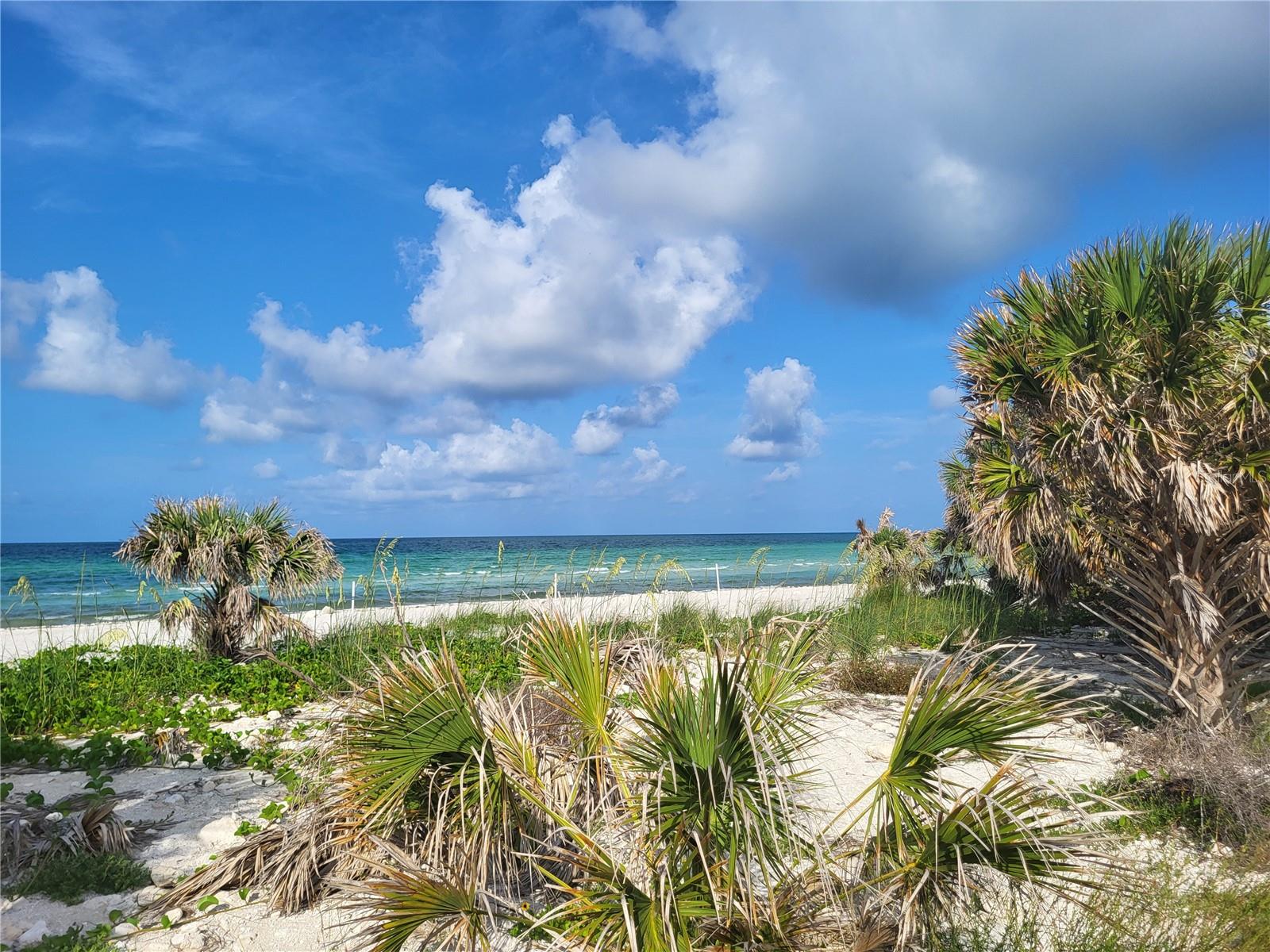 Listing photo id 22 for 2028 Douglas Avenue