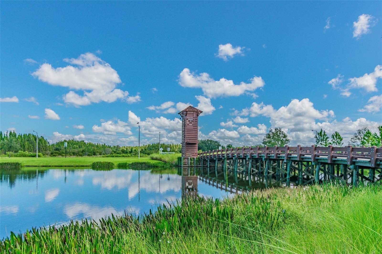 Image 51 of 53 For 32975 Sand Creek Drive